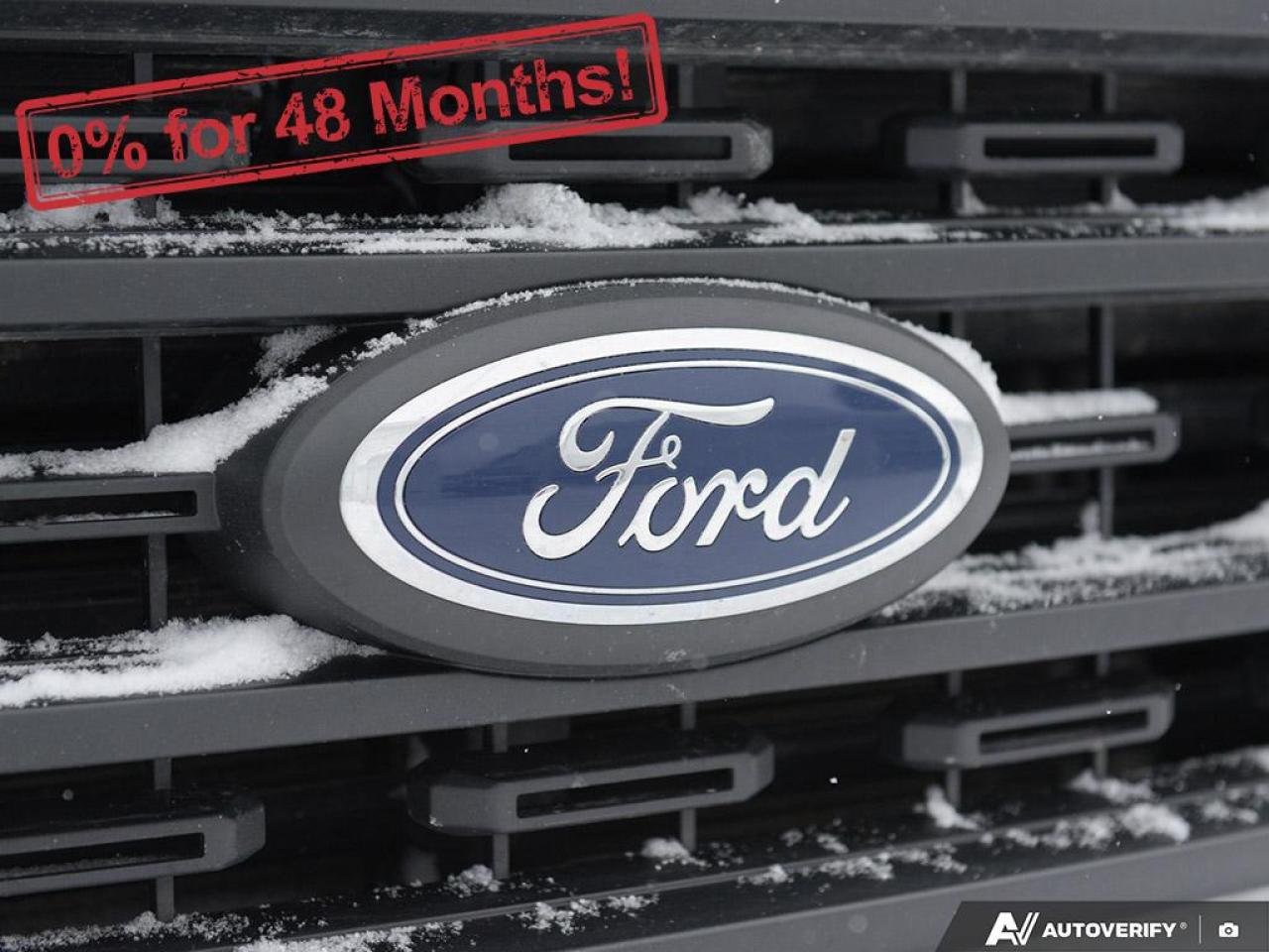 2023 Ford F-150 XL Photo