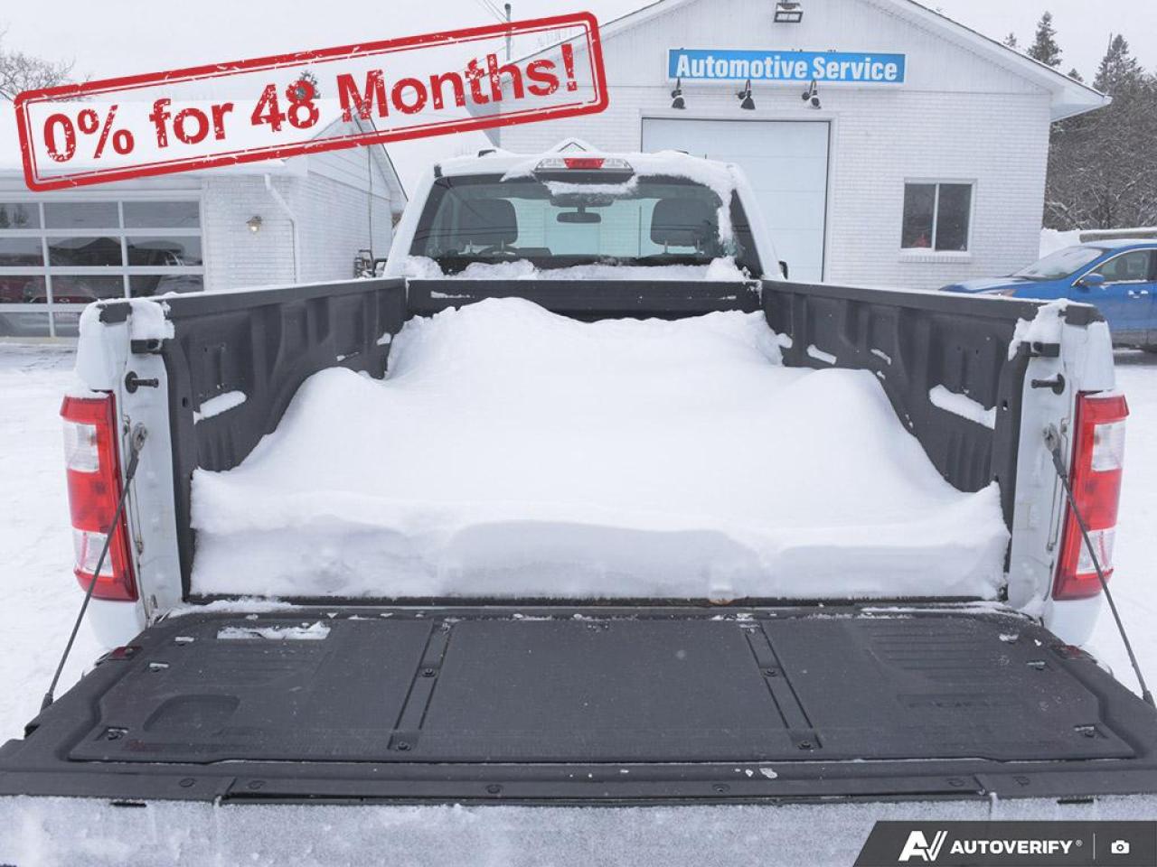 2023 Ford F-150 XL Photo