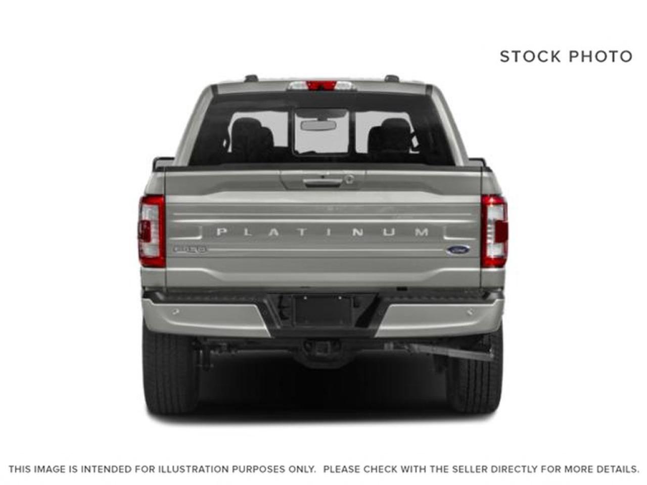 2023 Ford F-150 Platinum Photo3
