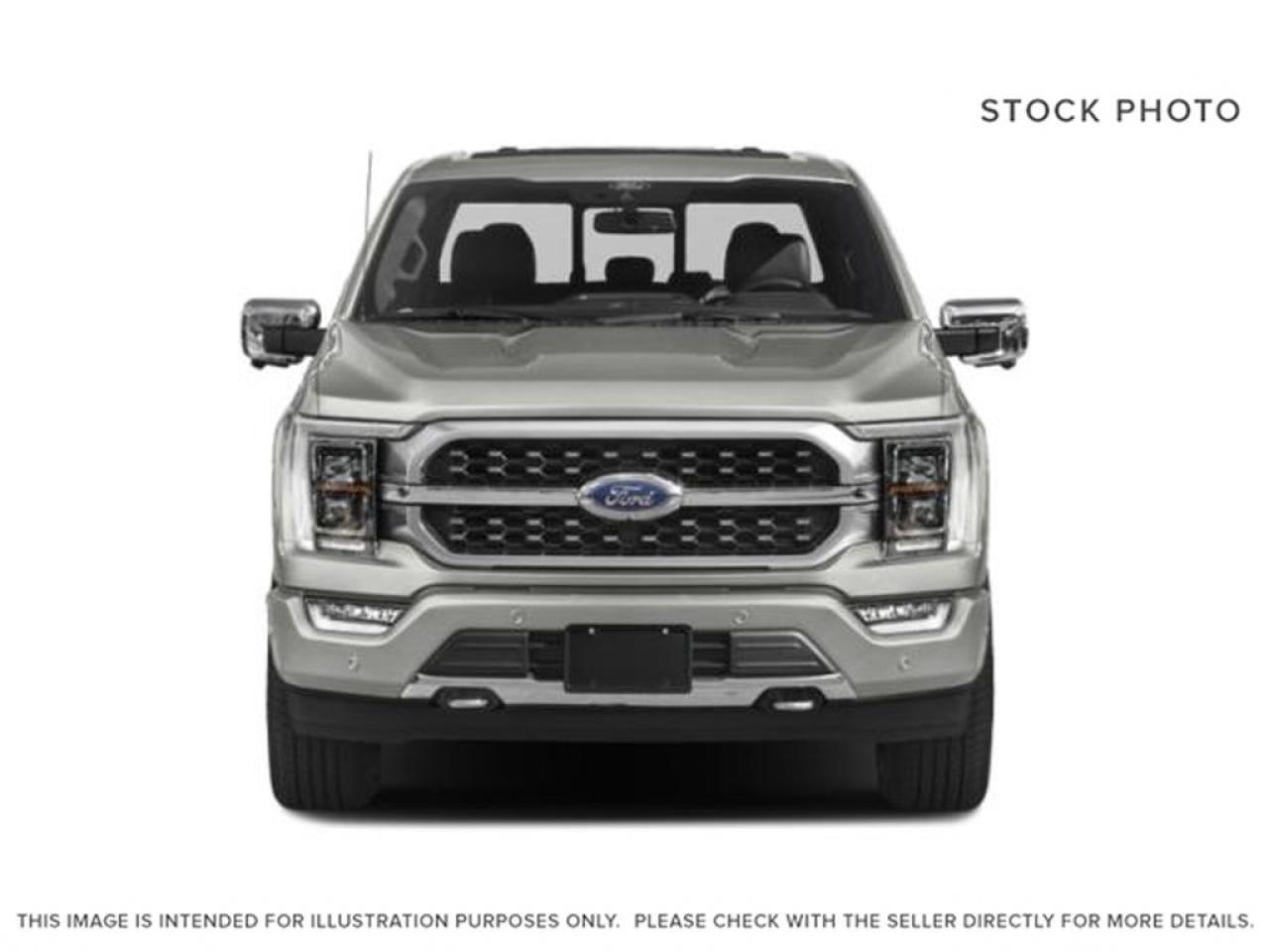 2023 Ford F-150 Platinum Photo4