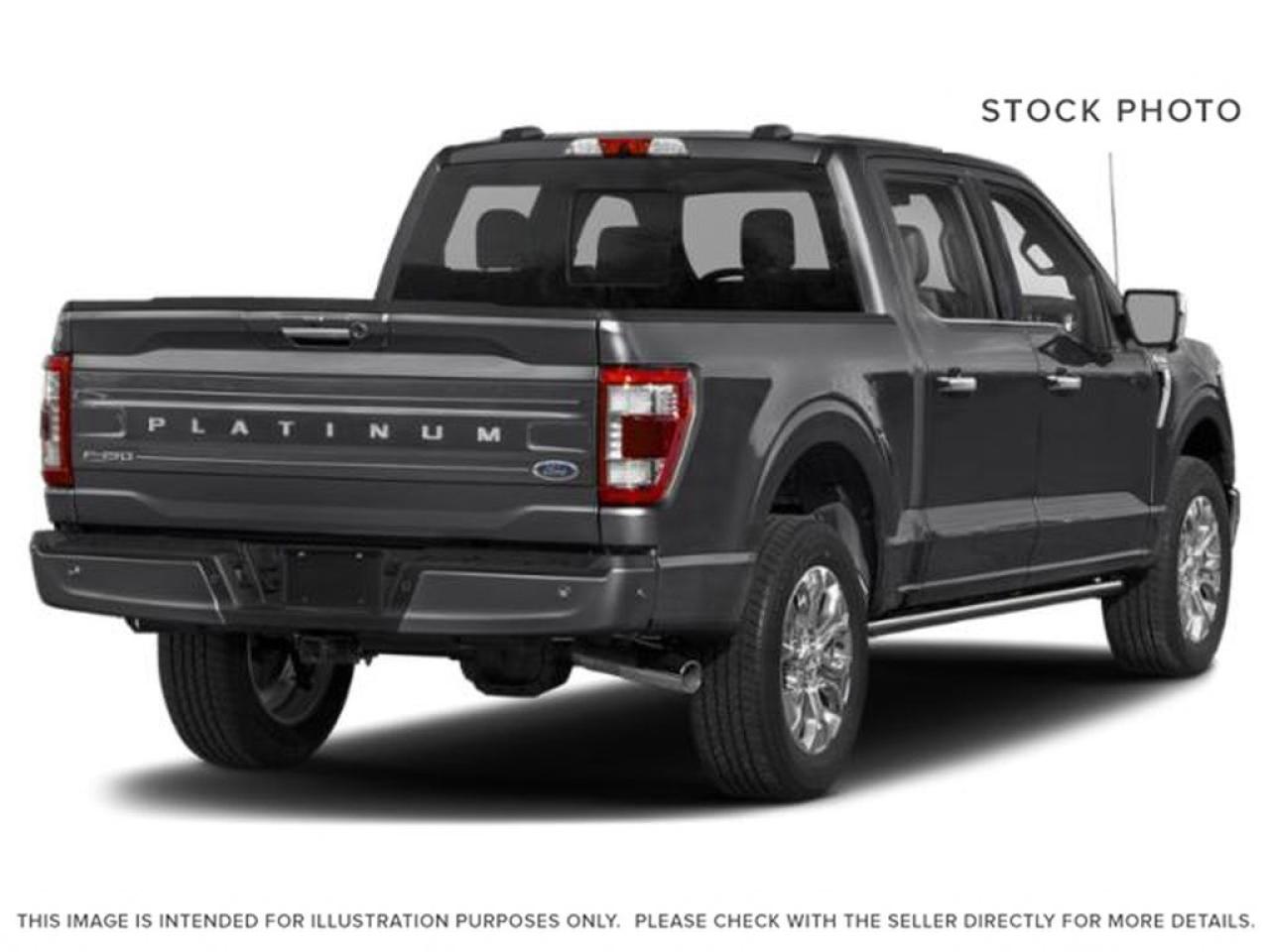 2023 Ford F-150 Platinum Photo2