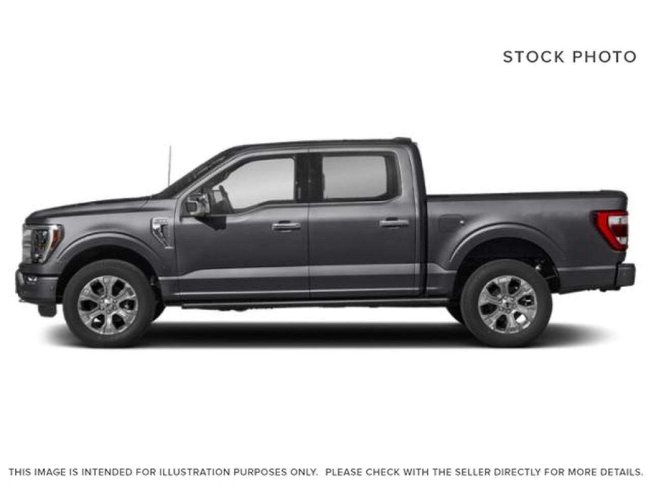 2023 Ford F-150 Platinum Photo1