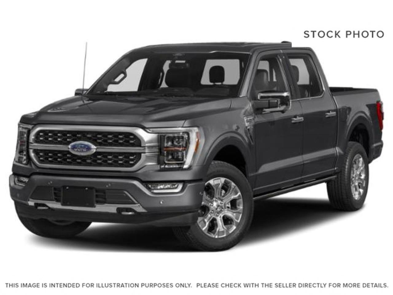 2023 Ford F-150 Platinum Photo0