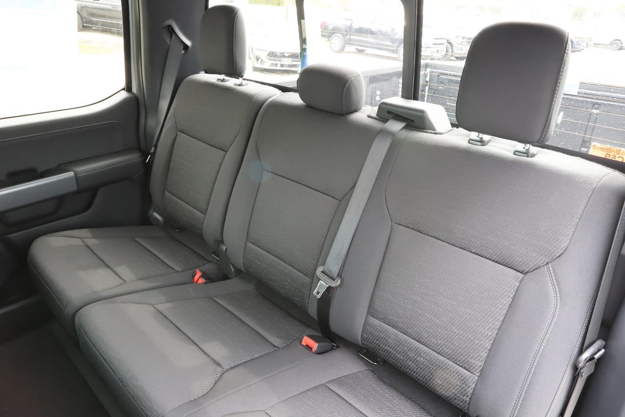 2026 Ford F-150 XLT 4WD SuperCrew 5.5' Box Photo