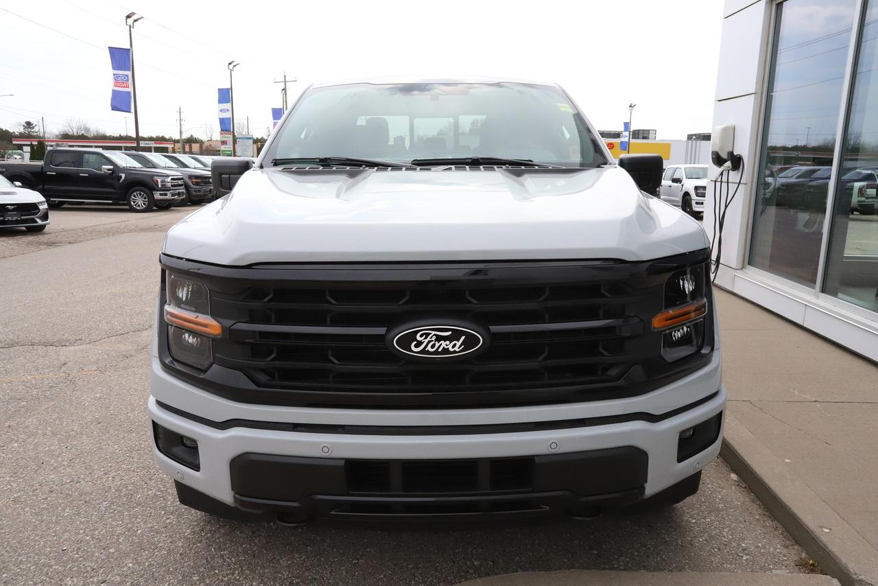 2026 Ford F-150 XLT 4WD SuperCrew 5.5' Box Photo