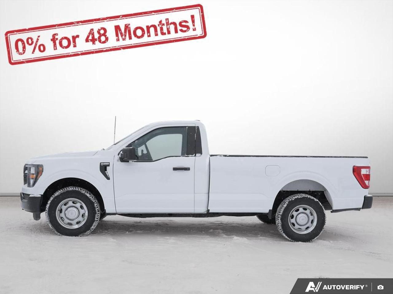 2023 Ford F-150 XL Photo2