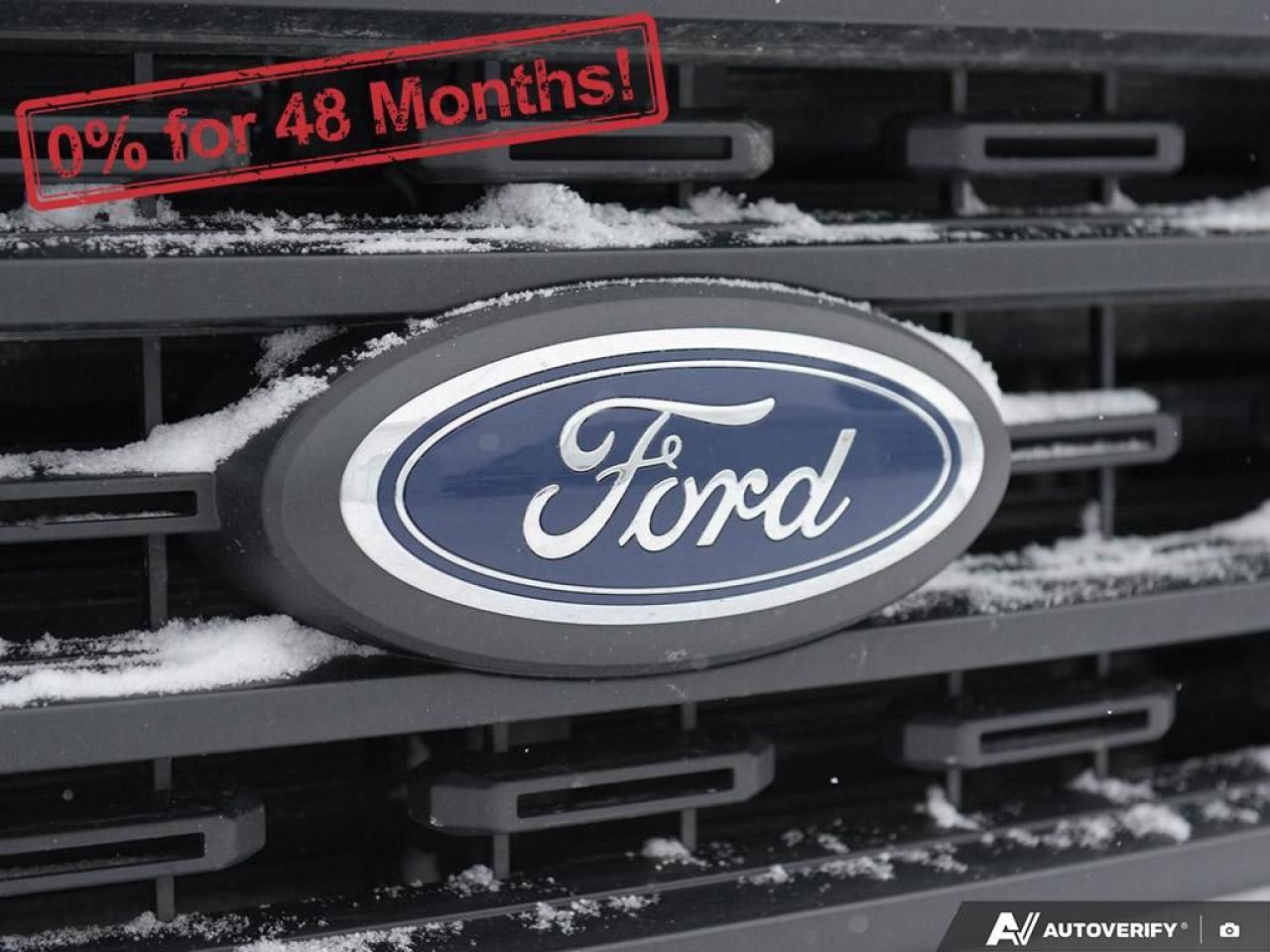 2023 Ford F-150 XL Photo