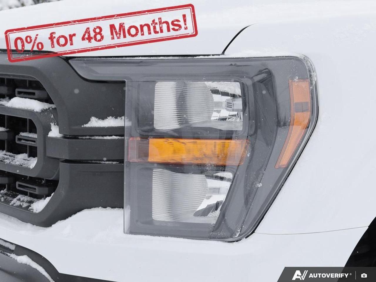 2023 Ford F-150 XL Photo