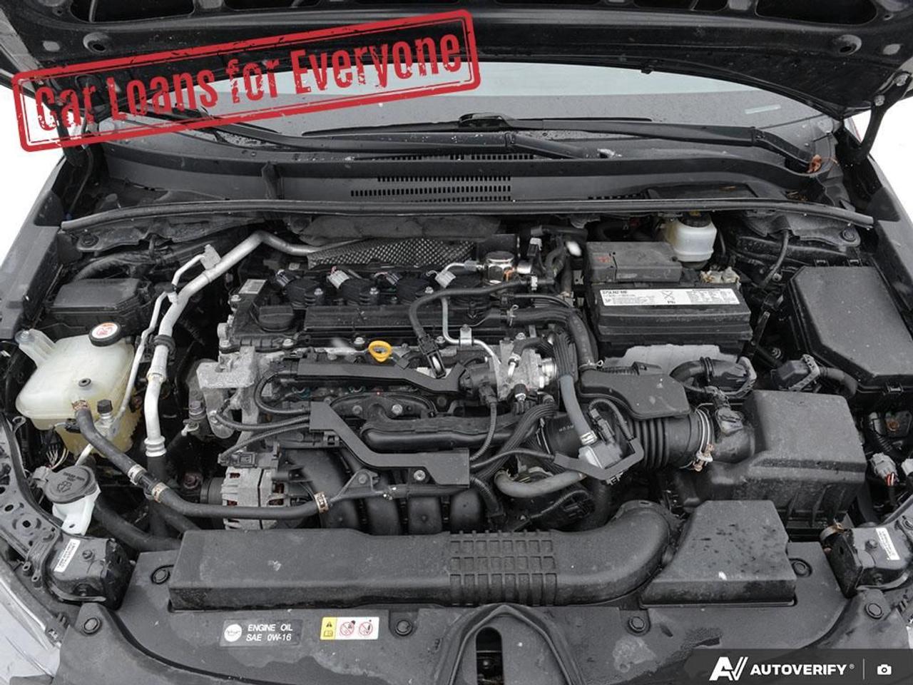 2020 Toyota Corolla SE Photo