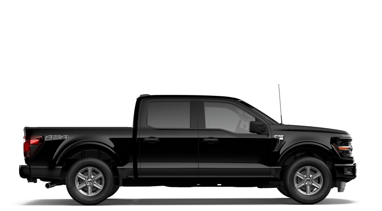 2026 Ford F-150 XLT Photo