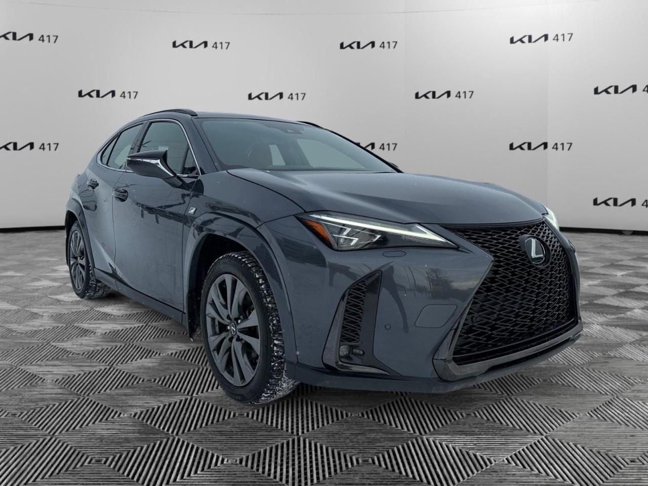 2023 Lexus UX CVT Photo
