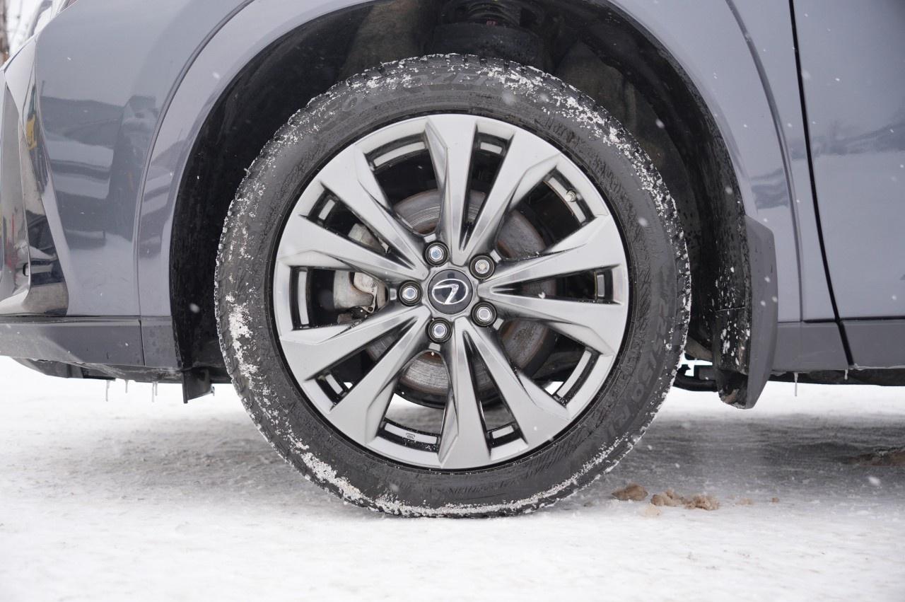 2023 Lexus UX CVT Photo