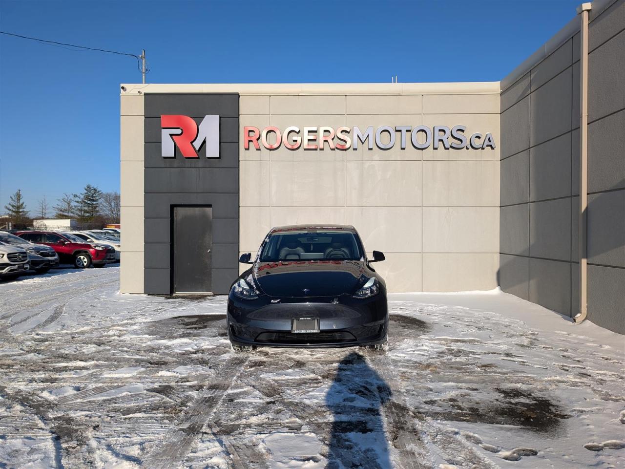 2024 Tesla Model Y STANDARD Photo4