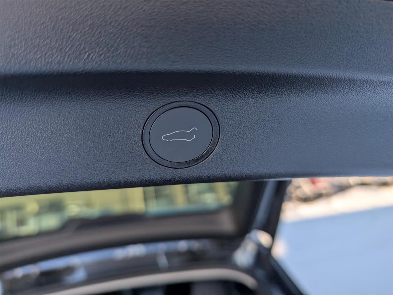 2024 Tesla Model Y STANDARD Photo