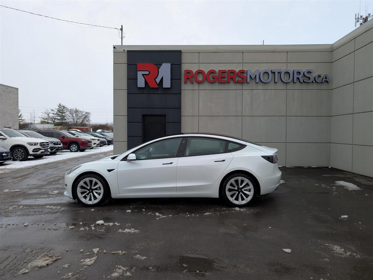 2022 Tesla Model 3 STANDARD - WHITE INTERIOR Photo