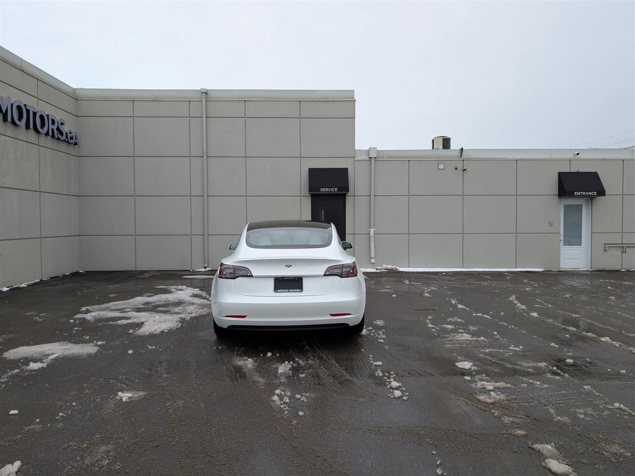 2022 Tesla Model 3 STANDARD - WHITE INTERIOR Photo