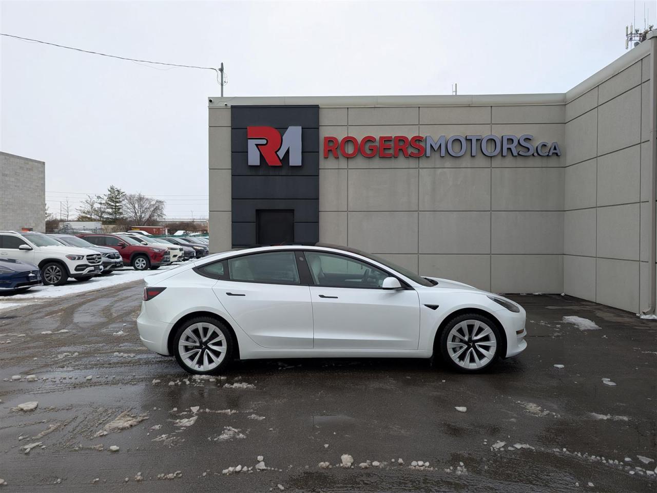 2022 Tesla Model 3 STANDARD - WHITE INTERIOR Photo