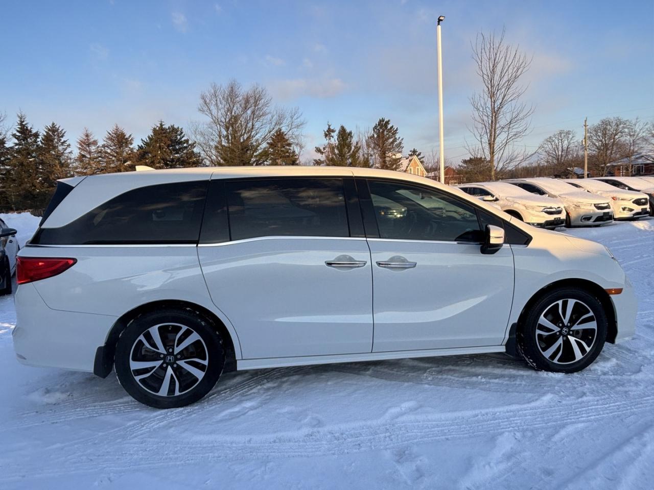 2020 Honda Odyssey Touring Photo