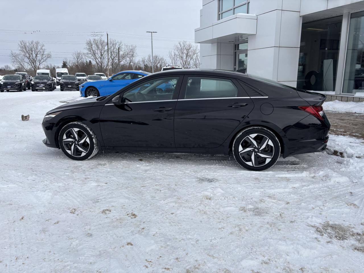 2023 Hyundai Elantra HYBRID, LUXURY, LEATHER, ROOF, LOADED! Photo