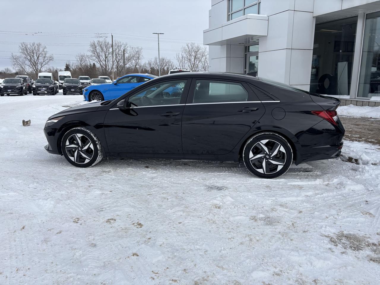 2023 Hyundai Elantra HYBRID, LUXURY, LEATHER, ROOF, LOADED! Photo