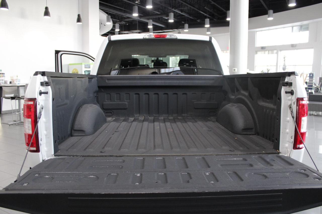 2020 Ford F-150 XLT Photo4