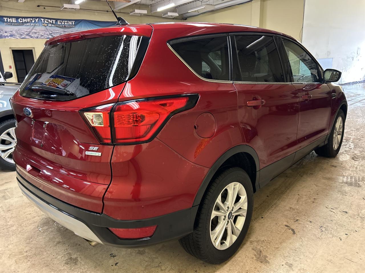 2019 Ford Escape SE Photo
