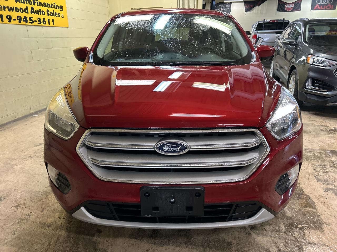 2019 Ford Escape SE Photo