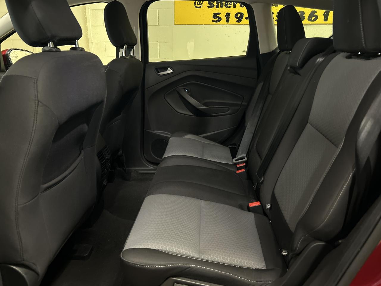 2019 Ford Escape SE Photo