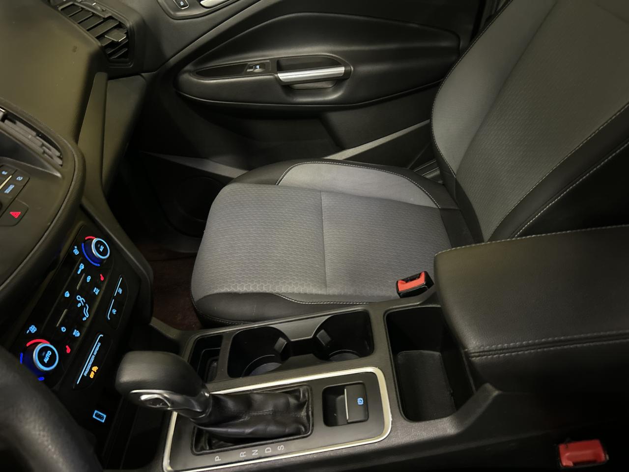 2019 Ford Escape SE Photo