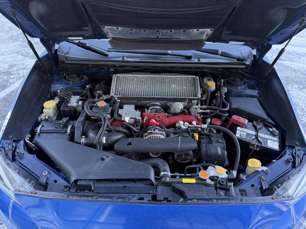 2016 Subaru WRX STI Photo