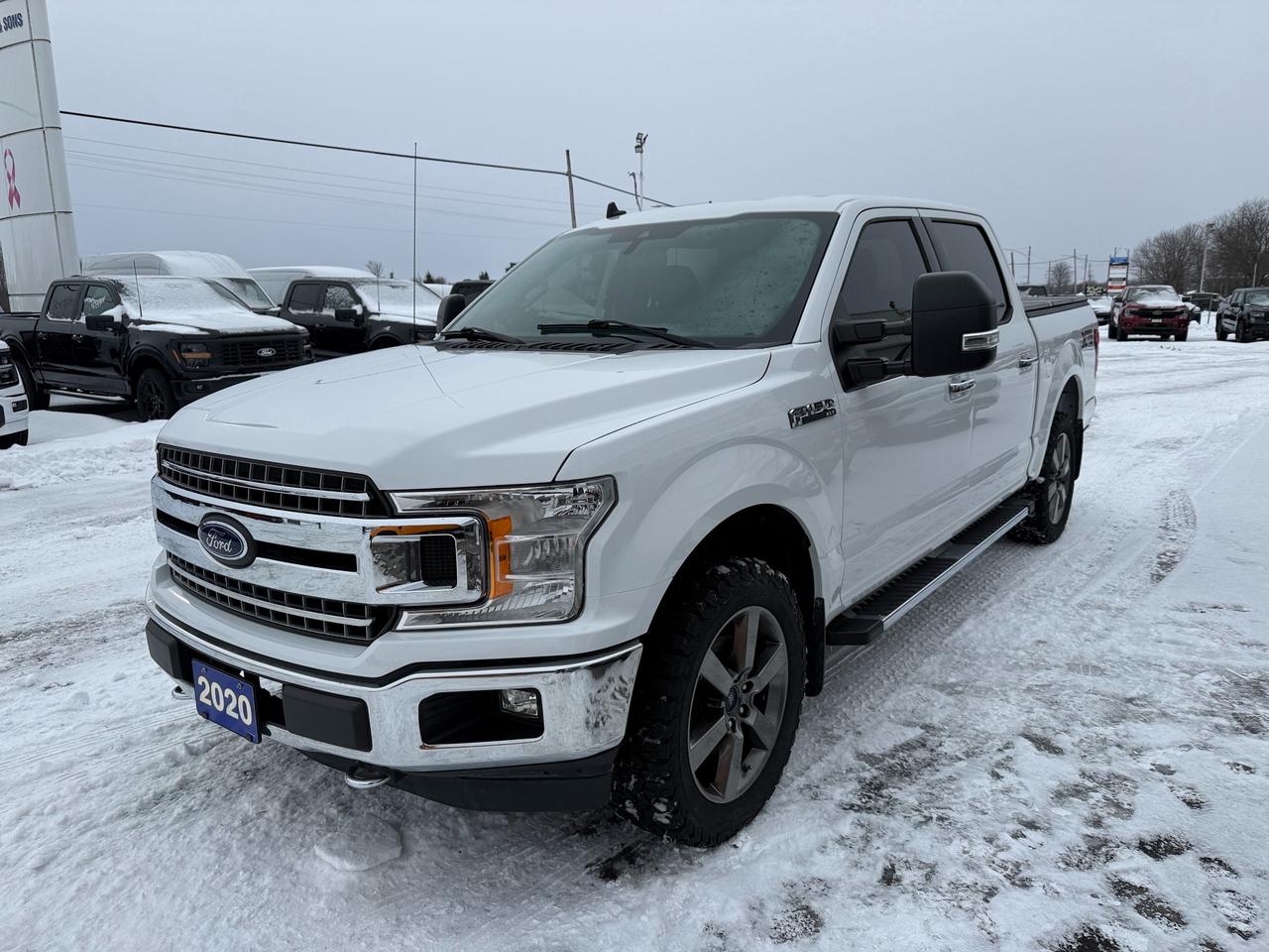 2020 Ford F-150 XLT Photo