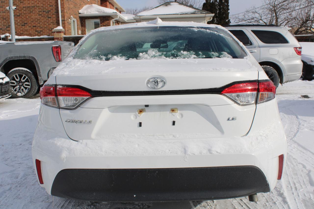 2024 Toyota Corolla LE Photo