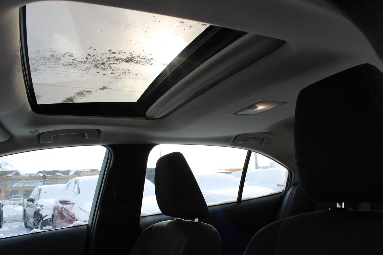 2024 Toyota Corolla LE Photo