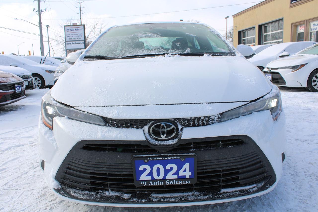 2024 Toyota Corolla LE Photo