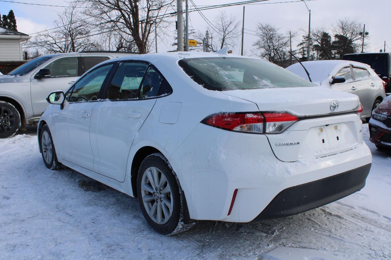 2024 Toyota Corolla LE Photo