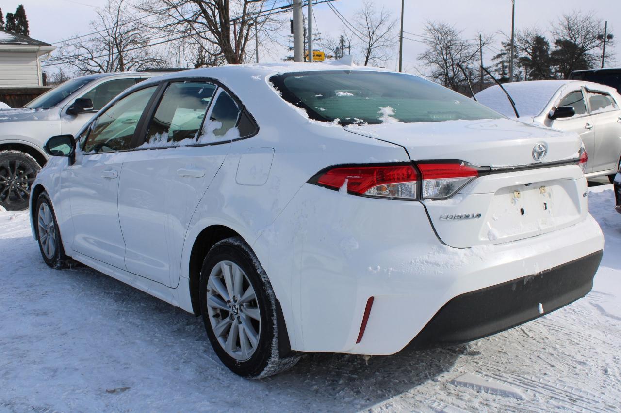 2024 Toyota Corolla LE Photo