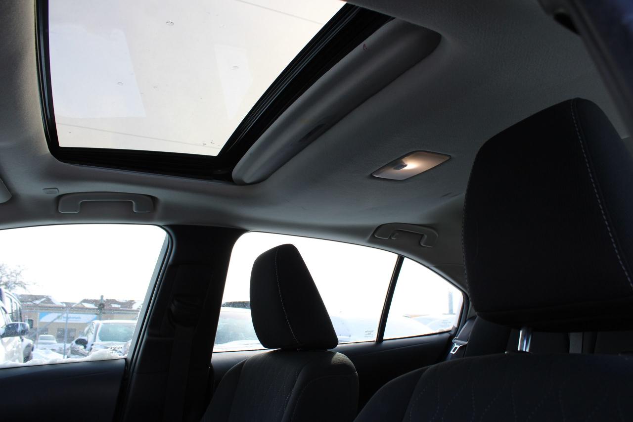 2024 Toyota Corolla LE Photo