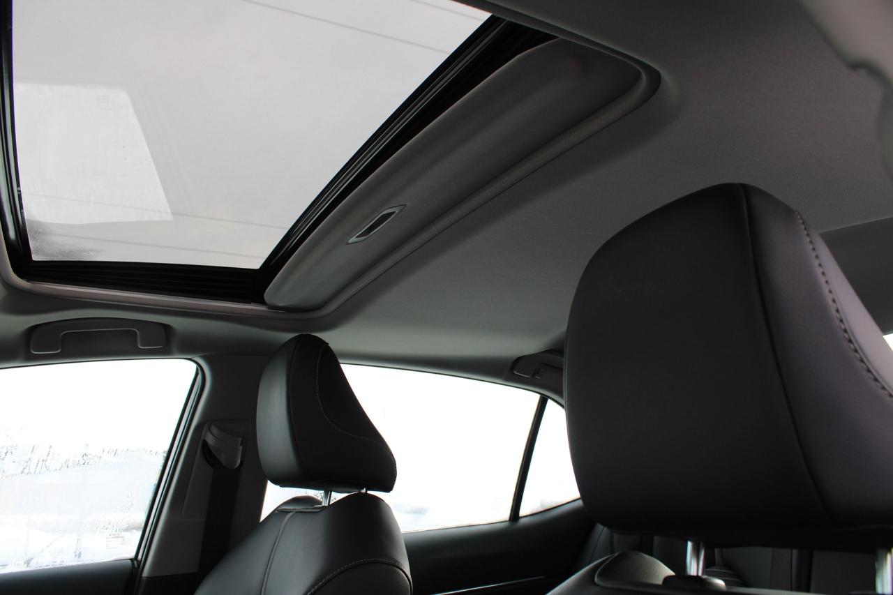 2024 Toyota Camry HYBRID SE Photo