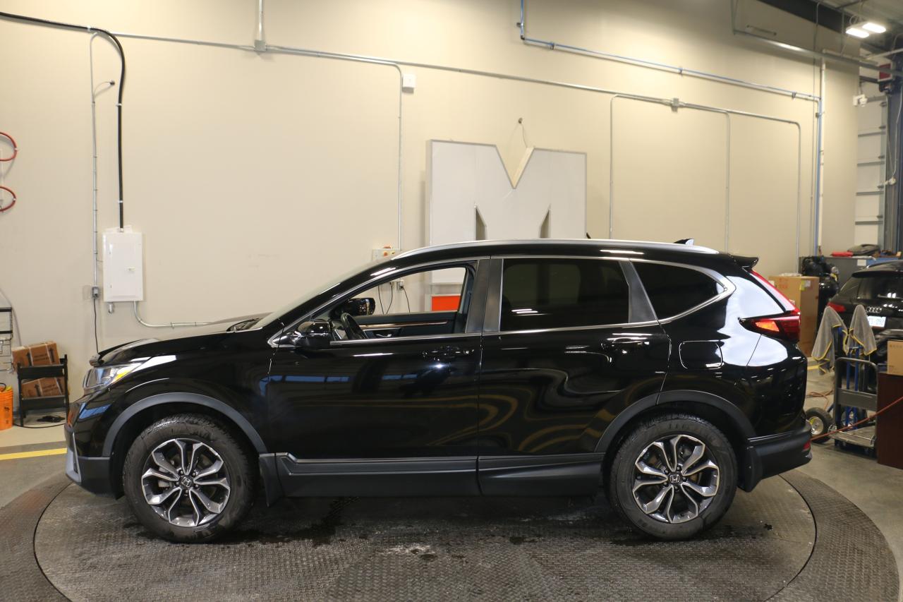 2020 Honda CR-V EX-L AWD - SUNROOF|LEATHER|CAMERA|HEATED SEATS Photo2