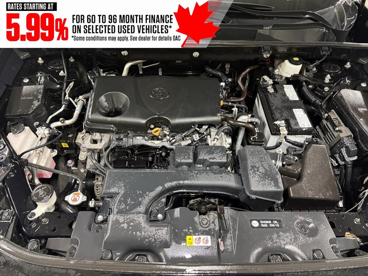 2023 Toyota RAV4 LE AWD Photo