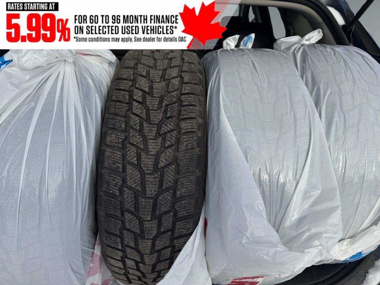 2023 Kia Sportage EX AWD Photo