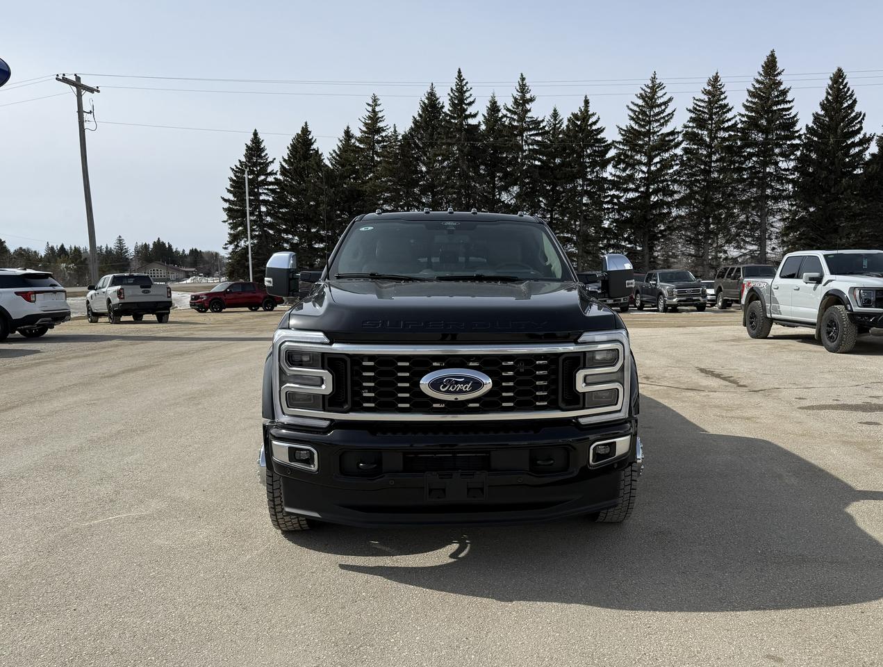 2026 Ford F-450 Super Duty DRW PLATINUM 4WD CREW CAB 8' BOX Photo2
