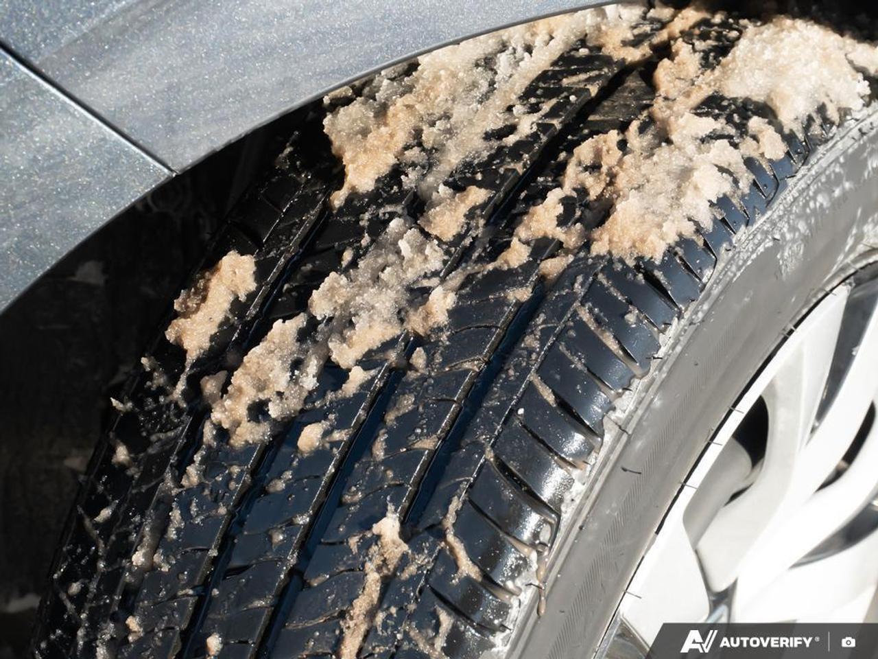 2024 Honda Civic SEDAN Photo