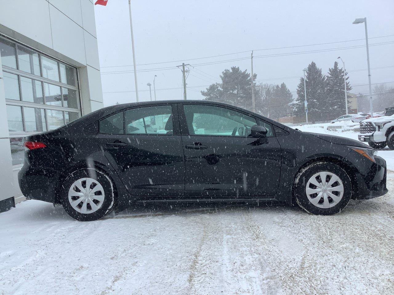 2020 Toyota Corolla  Photo3