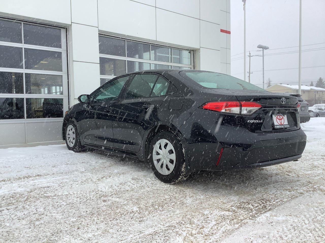 2020 Toyota Corolla  Photo