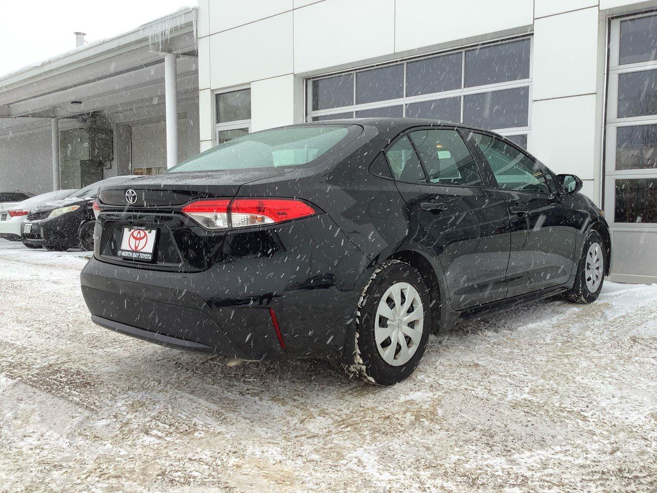 2020 Toyota Corolla  Photo