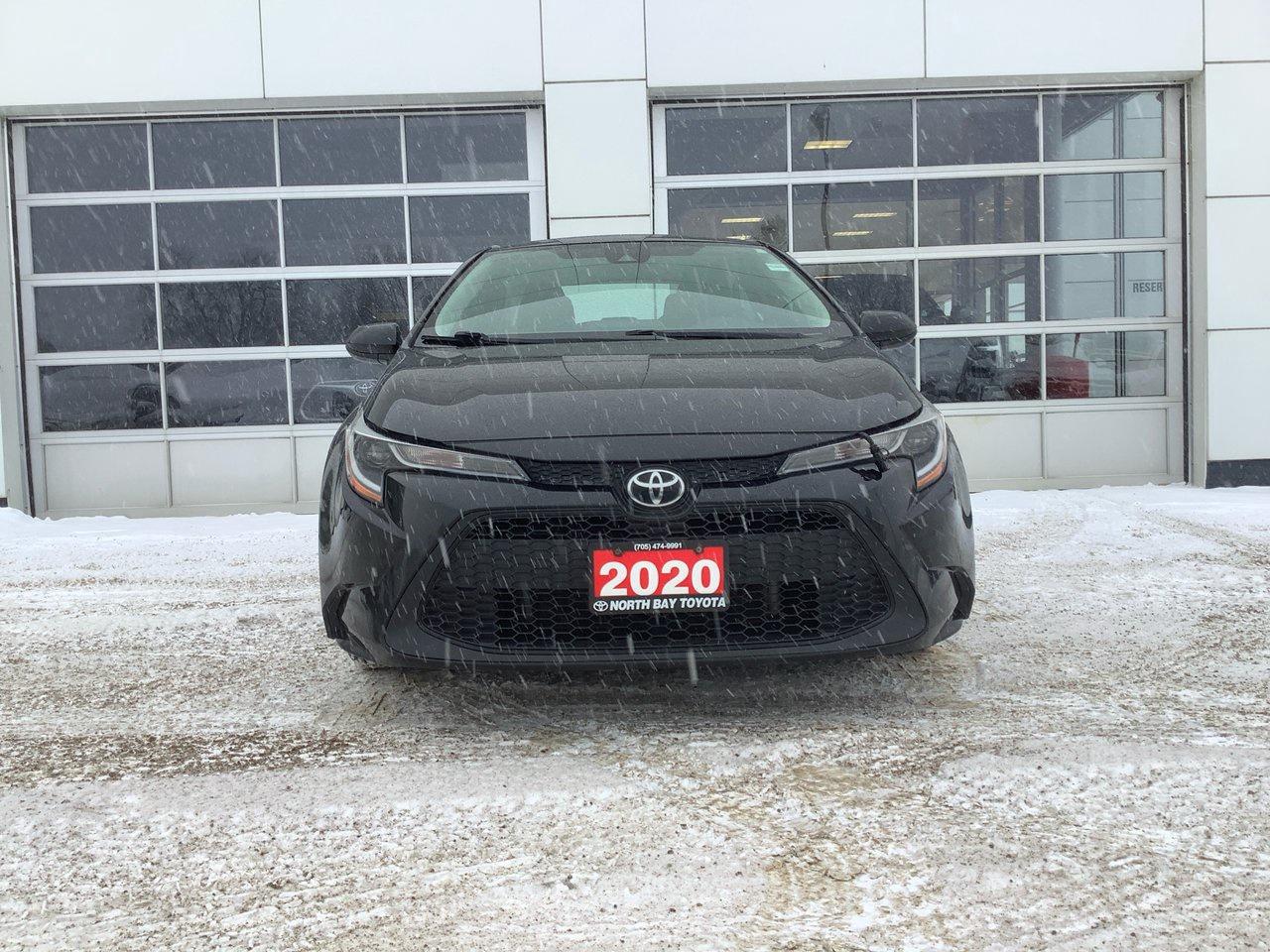 2020 Toyota Corolla  Photo