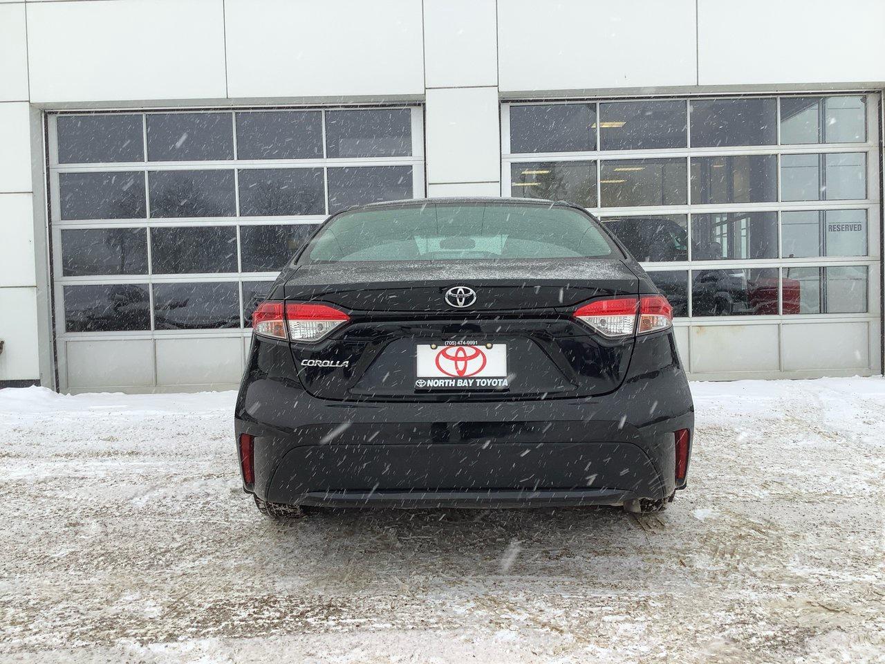 2020 Toyota Corolla  Photo