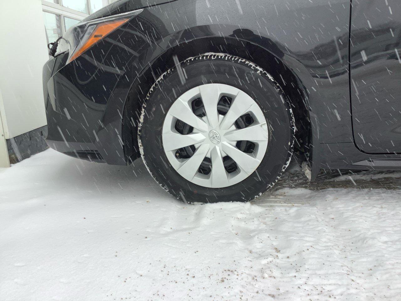 2020 Toyota Corolla  Photo