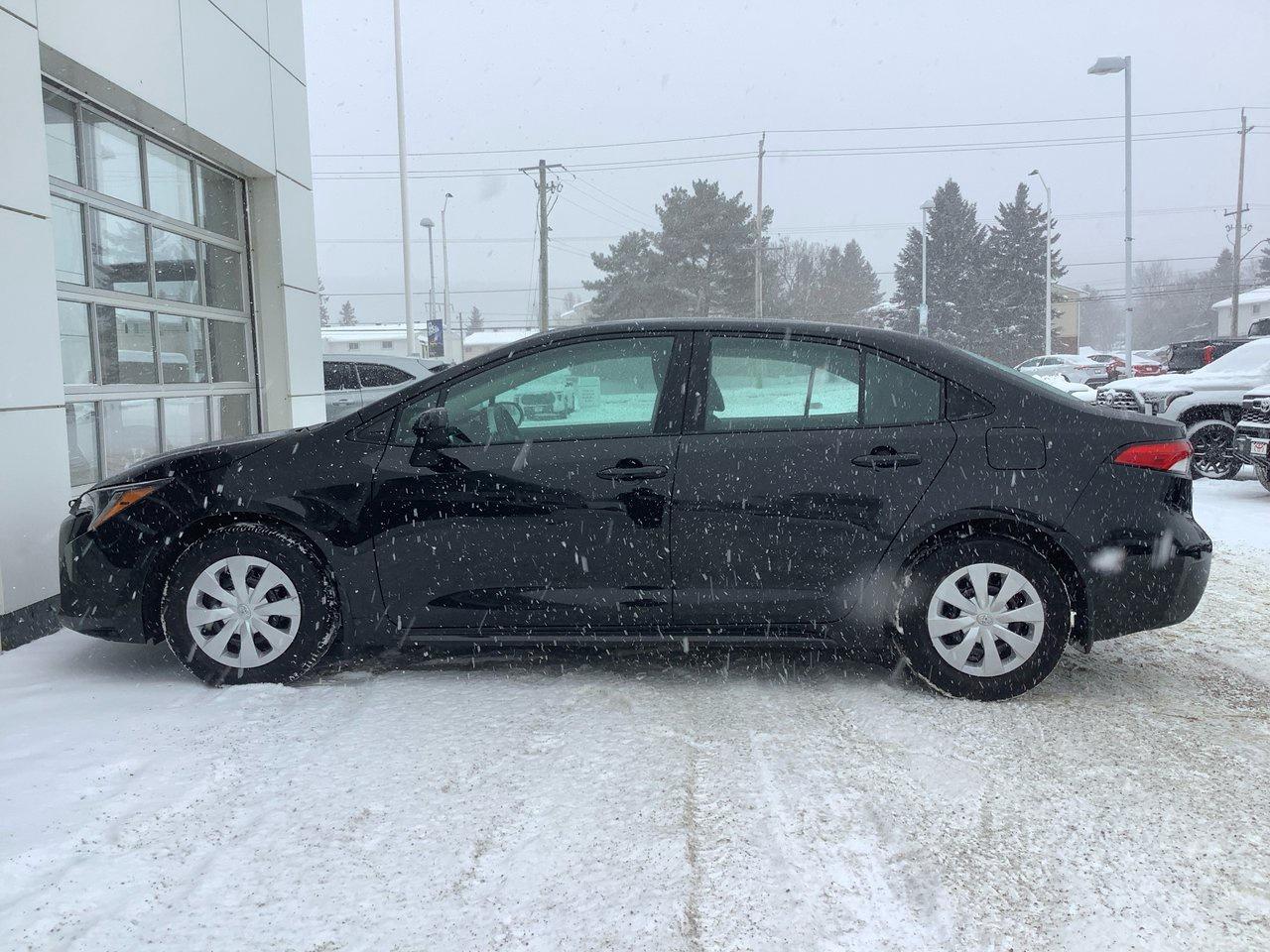 2020 Toyota Corolla  Photo